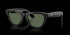 RAY-BAN Skyler Shiny Black W/g15 Green Accessories